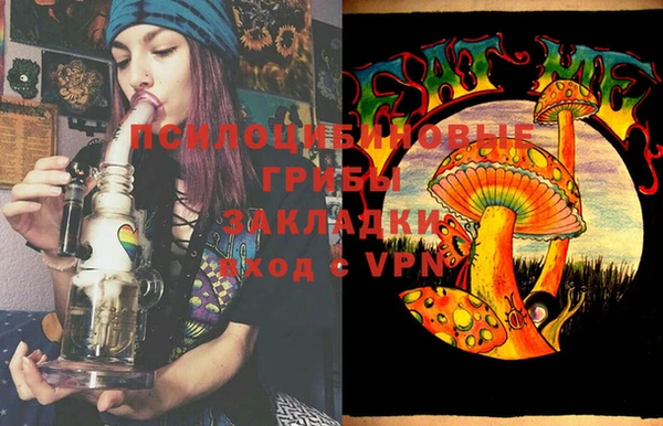 дживик Нягань