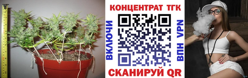 Дистиллят ТГК Wax  купить наркотики сайты  Белый 