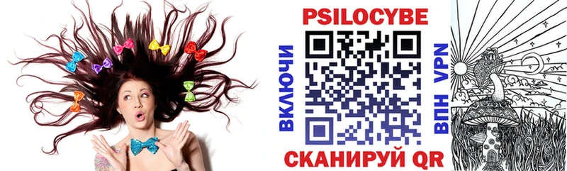 цена наркотик  Белый  Галлюциногенные грибы Psilocybine cubensis 